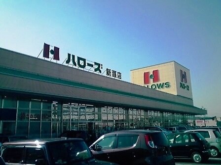 物件外観写真8　(ハローズ新涯店まで1100m)