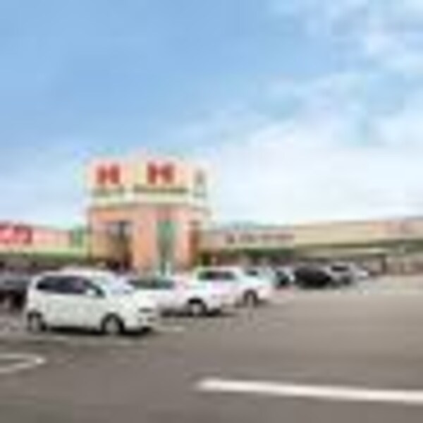 周辺環境(ハローズ 緑町店 813m)