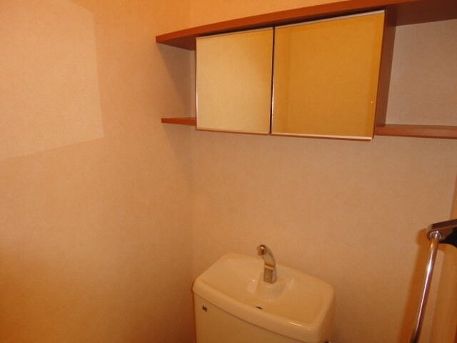 物件内観写真19　(トイレ鏡付収納)