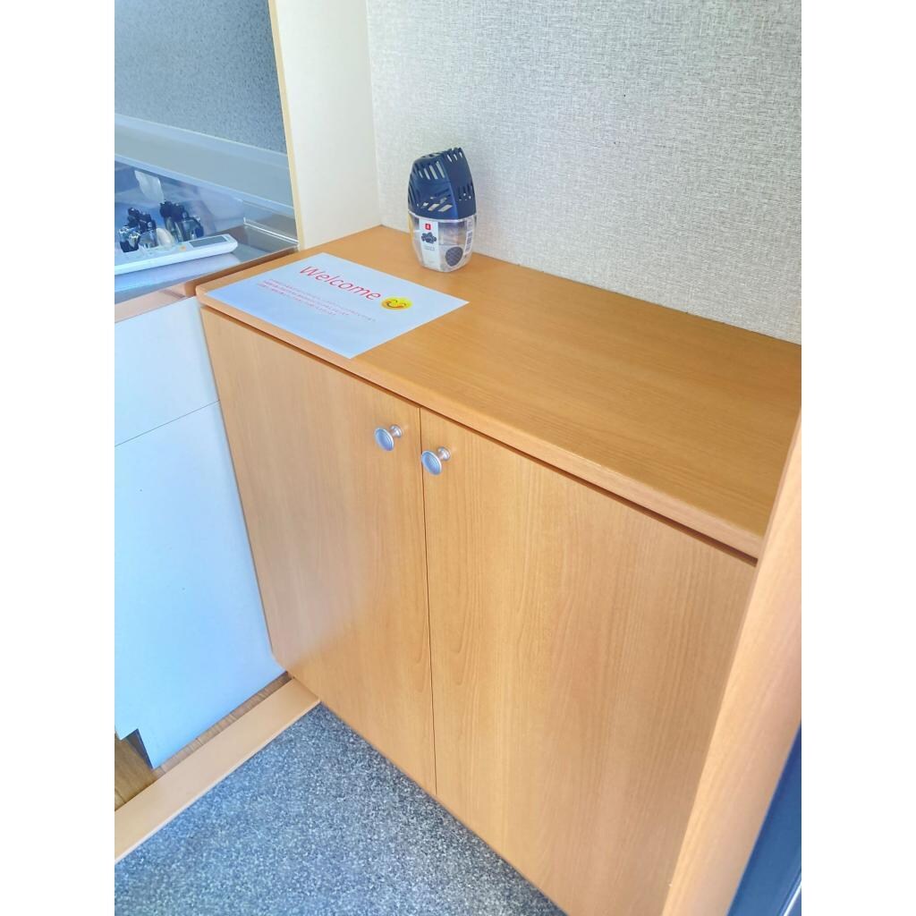 物件内観写真5　(玄関)