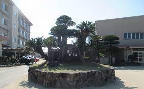 物件内観写真24　(福山市立駅家西小学校 1364m)