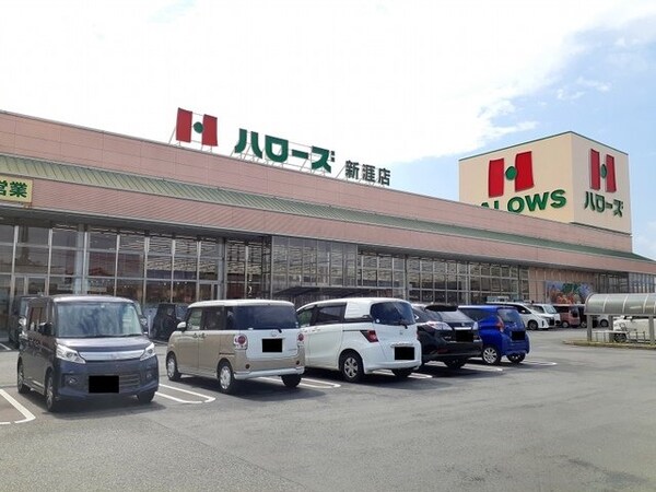 周辺環境(ハローズ新涯店まで500m)