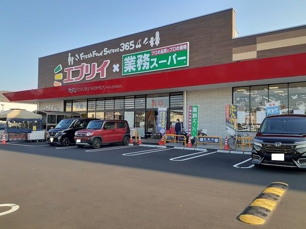 周辺環境(エブリイ神辺店まで250m)