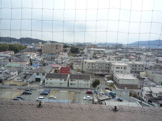 物件内観写真21　(防鳥ネット・展望)