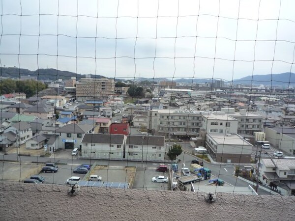 建物設備(防鳥ネット・展望)