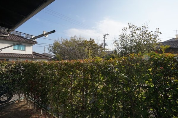 庭
