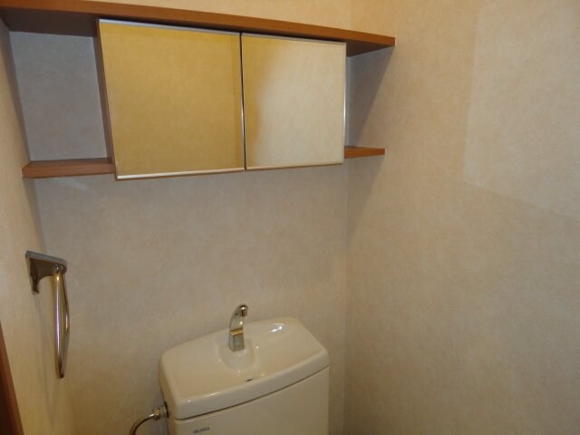 物件内観写真20　(トイレ戸棚)