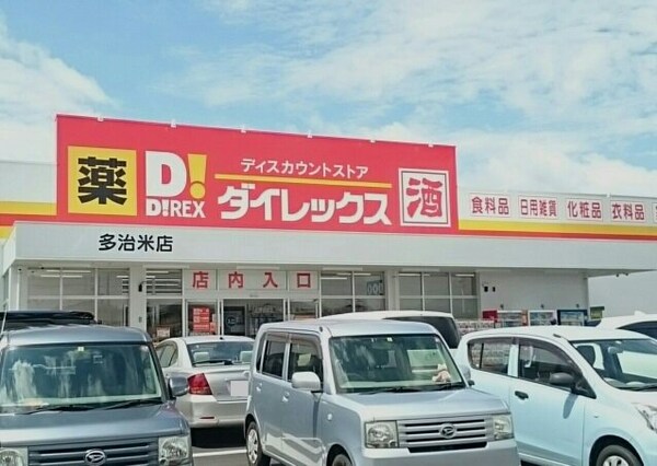周辺環境(ダイレックス多治米店まで1100m)