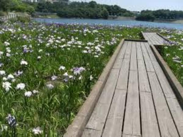 周辺環境(春日池公園 2557m)
