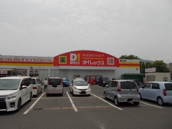 周辺環境(ダイレックス新涯店まで500m)