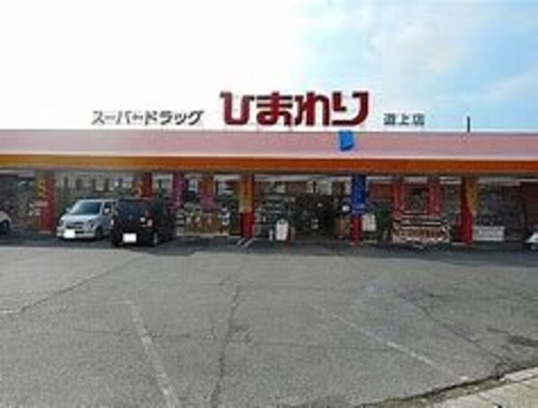 周辺環境(ドラックストア)