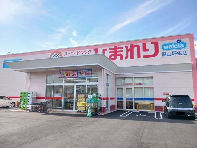 物件外観写真2　(ひまわり福山坪生店まで610m)