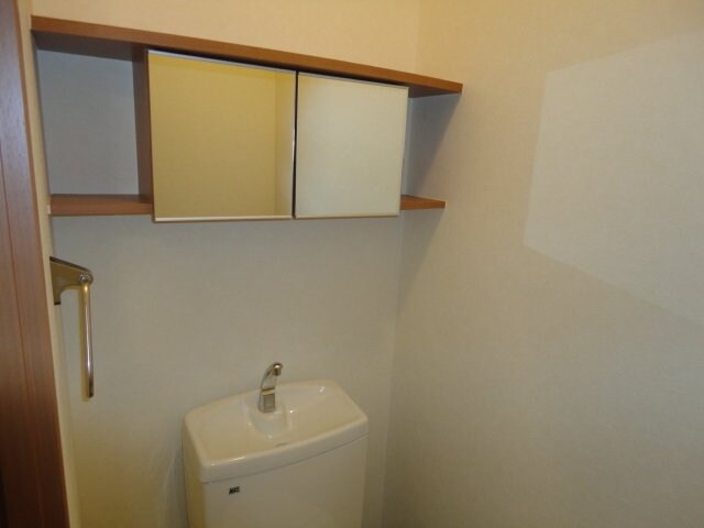 物件内観写真19　(トイレ鏡付収納)