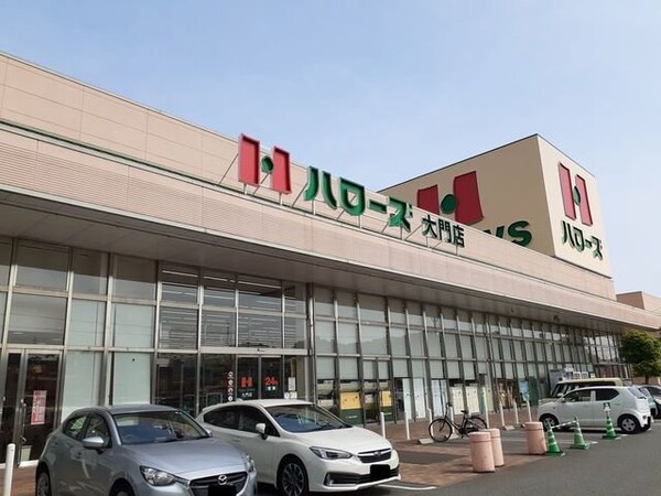 周辺環境(ハローズ大門店まで315m)