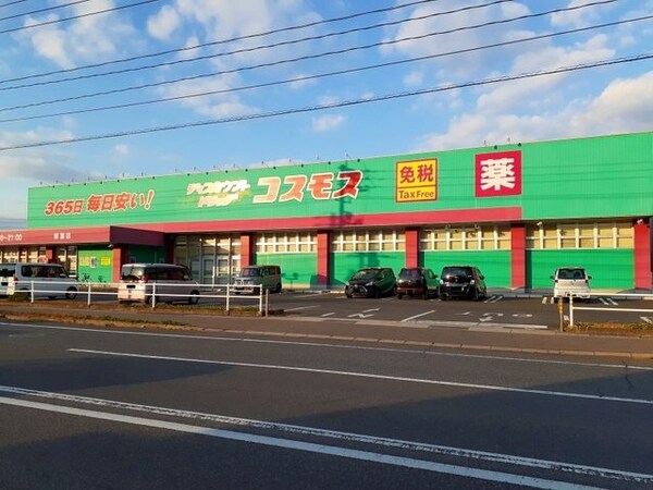 周辺環境(コスモス福山新涯店まで3000m)