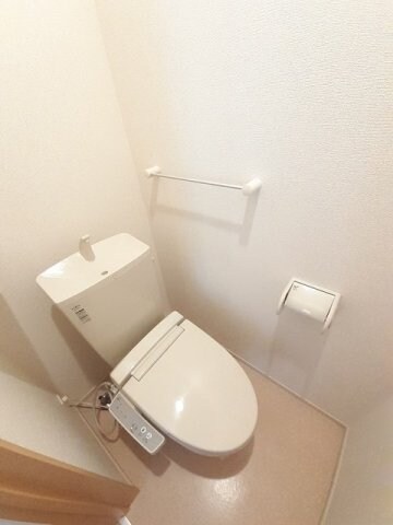 物件内観写真16　(落ち着いた色調のトイレです)
