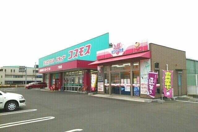 物件外観写真4　(コスモス六条店さんまで1100m)
