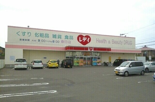 周辺環境(レディ薬局春日店まで1700m)