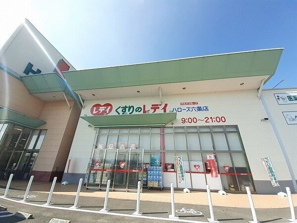周辺環境(レディ薬局六条店さんまで1600m)