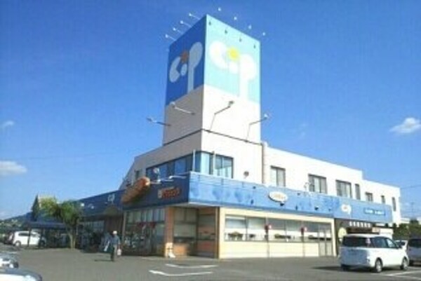 周辺環境(コープ一宮店さんまで560m)