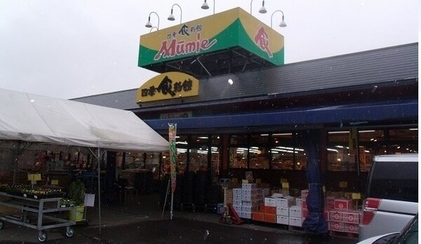 周辺環境(ムーミー川島店さんまで900m)