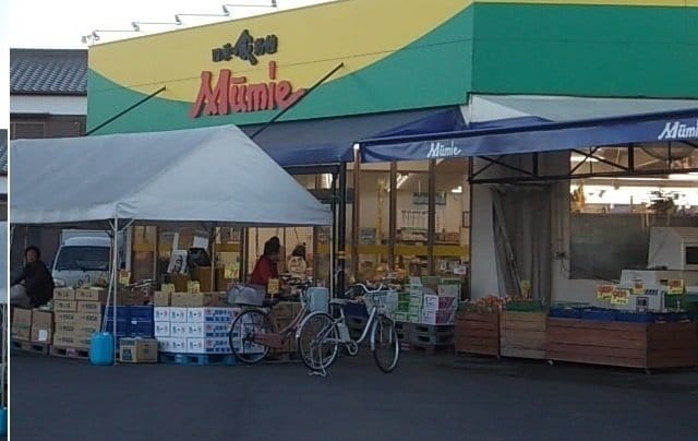 物件外観写真6　(ムーミー三本松店さんまで1300m)