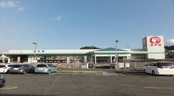 周辺環境(コメリ高松香南店さんまで1300m)