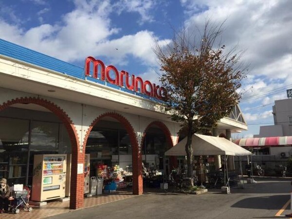 周辺環境(マルナカ川島店まで1,739ｍ)