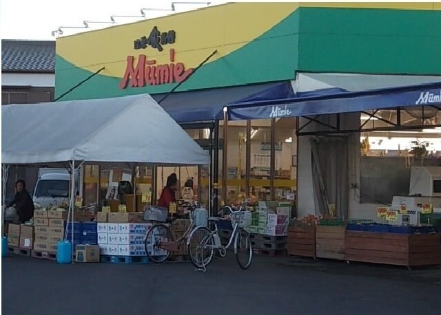 物件外観写真6　(ムーミー三本松店さんまで500m)