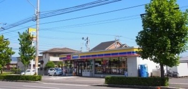 周辺環境(ミニストップ木太９区店さんまで600m)