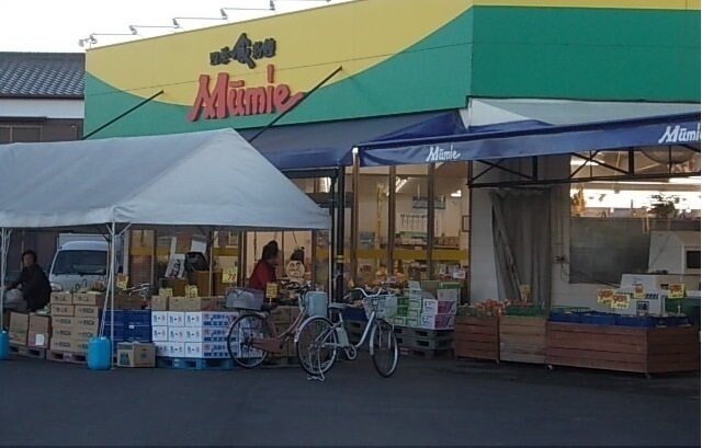 物件外観写真5　(ムーミー三本松店さんまで750m)