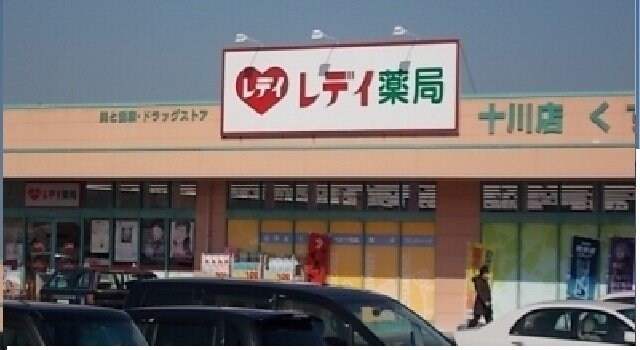 物件外観写真7　(レディ薬局十川店さんまで1100m)