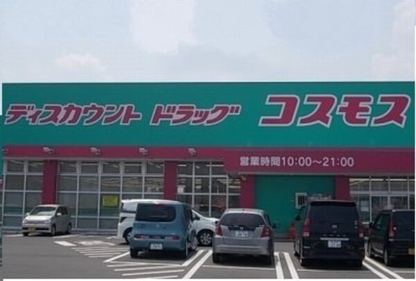 周辺環境(コスモス六条店さんまで1100m)