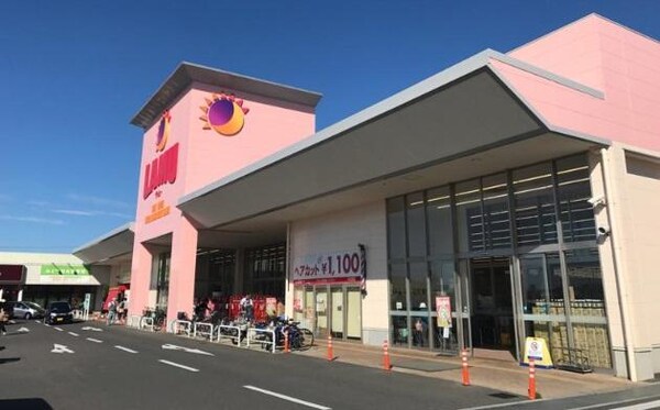 周辺環境(ラ・ムー高松東店まで1,203ｍ)