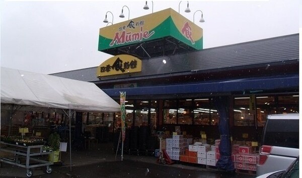 周辺環境(ムーミー川島店さんまで1600m)