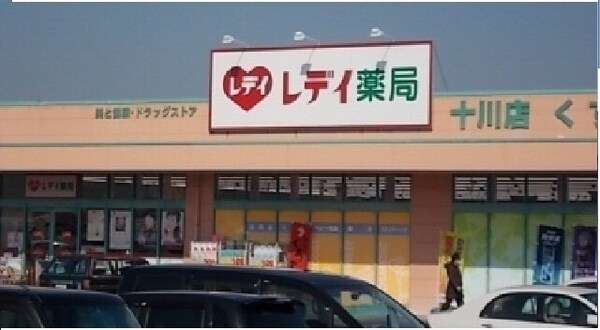 周辺環境(レディ薬局十川店さんまで800m)