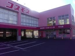 ドラッグストアコスモス 木太店