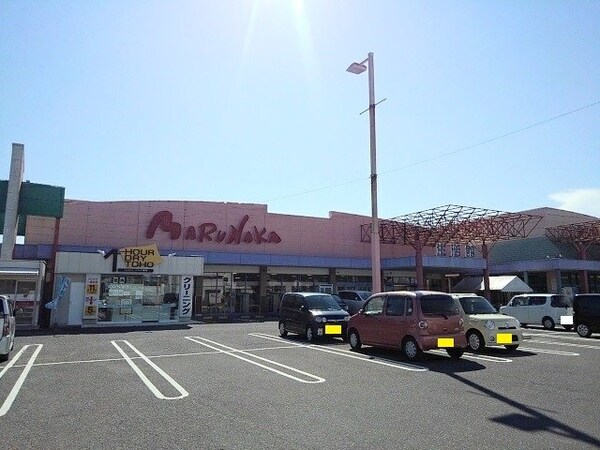 周辺環境(マルナカ宇多津店まで600m)