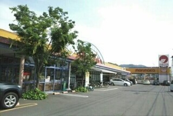 周辺環境(マルナカ郷東店さんまで980m)