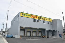 新鮮市場きむら 瀬戸内水産加工センター