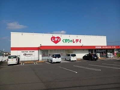 物件外観写真6　(くすりのレディ川岡店さんまで1200m)