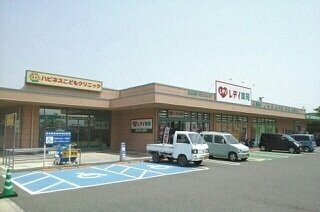 物件外観写真4　(レデイ薬局十川店さんまで1530m)