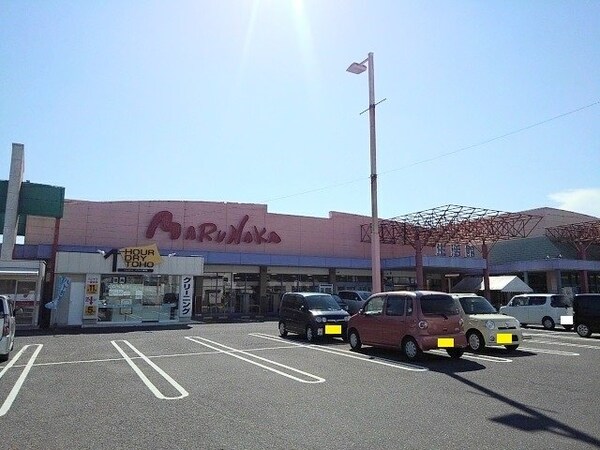周辺環境(マルナカ宇多津店まで1000m)