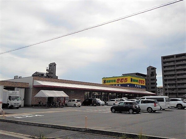 周辺環境(新鮮市場きむら宇多津店まで830m)