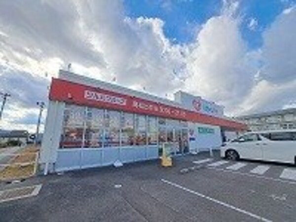 周辺環境(くすりのレディ仏生山店さんまで700m)