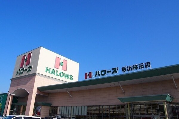 周辺環境(ハローズ坂出林田店まで800m)
