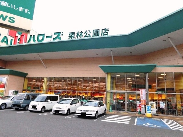 周辺環境(ハローズ栗林公園店まで230ｍ)