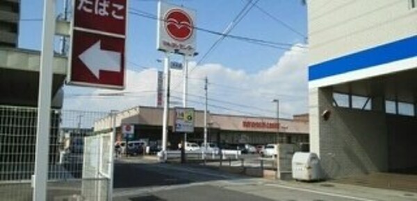 周辺環境(マルヨシセンター木太町店さんまで250m)