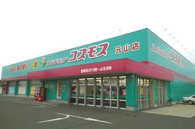 物件外観写真6　(コスモス元山店さんまで800m)