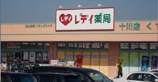 周辺環境(レディ薬局十川店さんまで750m)